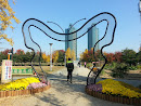 Butterfly Arch