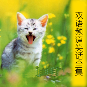 260双语笑话全集 1.0