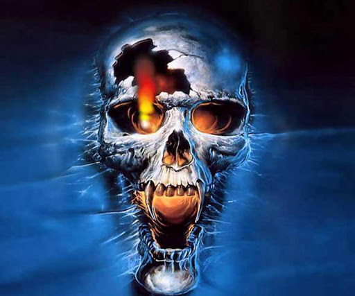 3D Skull