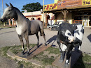 Vaca y caballo en Alta Gracia
