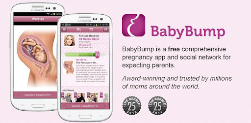 Pregnancy Stages -  apk apps