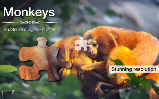 Monkeys Jigsaw Puzzles