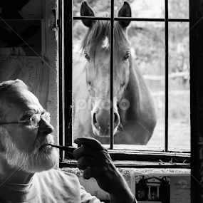 Silenzio... by Iosif Vajnar - Animals Horses