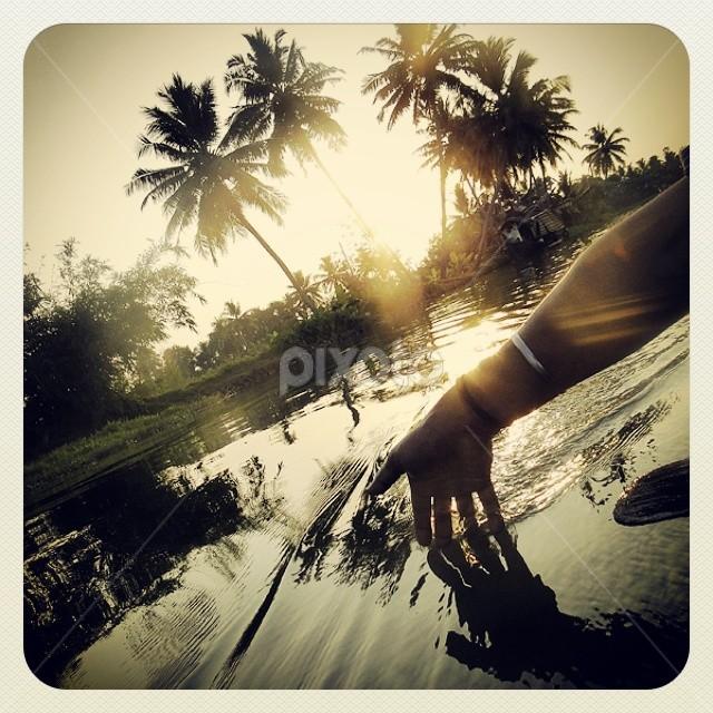 Good Morning To All Water Nature Up Close Pixoto