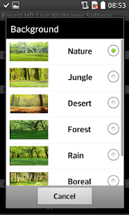 download Forest HD Live Wallpaper free
