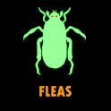 Fleas logo