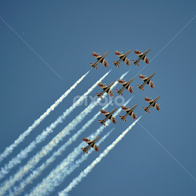 Acrobatic by Adriana Bleau - Transportation Airplanes