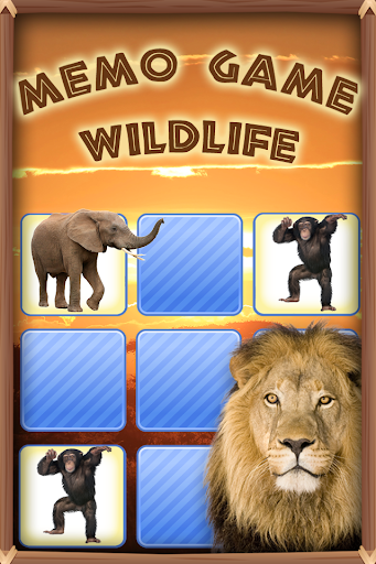Memo Game Wildlife Photo