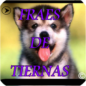 frases tiernas.apk 1.1