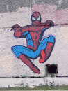 Spider- Man