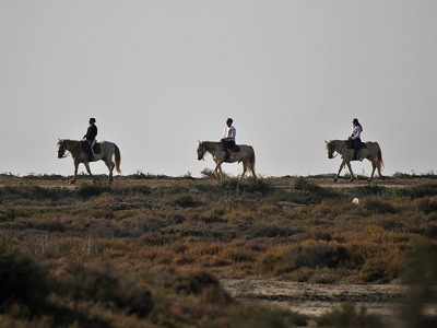 F0045.jpg