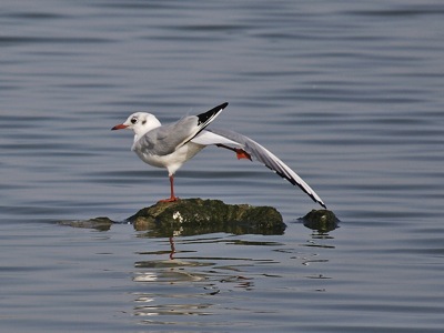 F0046.jpg