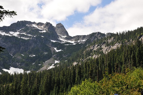 [2712380909_f52e990c99[4].jpg]