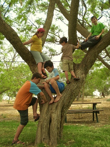 [04 tree climbing[14].jpg]