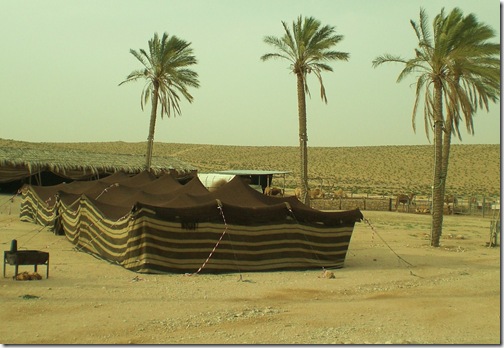 13 bedouin tent