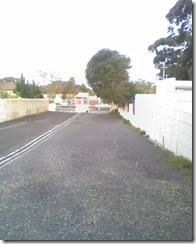 Copy of IMAGE_311