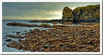 DSC_1751_2_3Enhancer