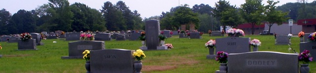 [S50310187.jpg]