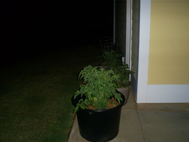 [S50310292.jpg]