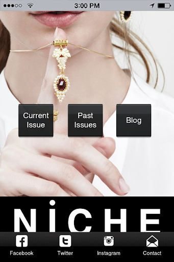 Niche Magazine