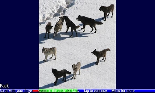 Lastest Lots of Animals 1 FREE APK for PC