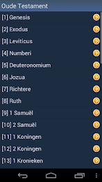 Dutch Holy Bible poster 2