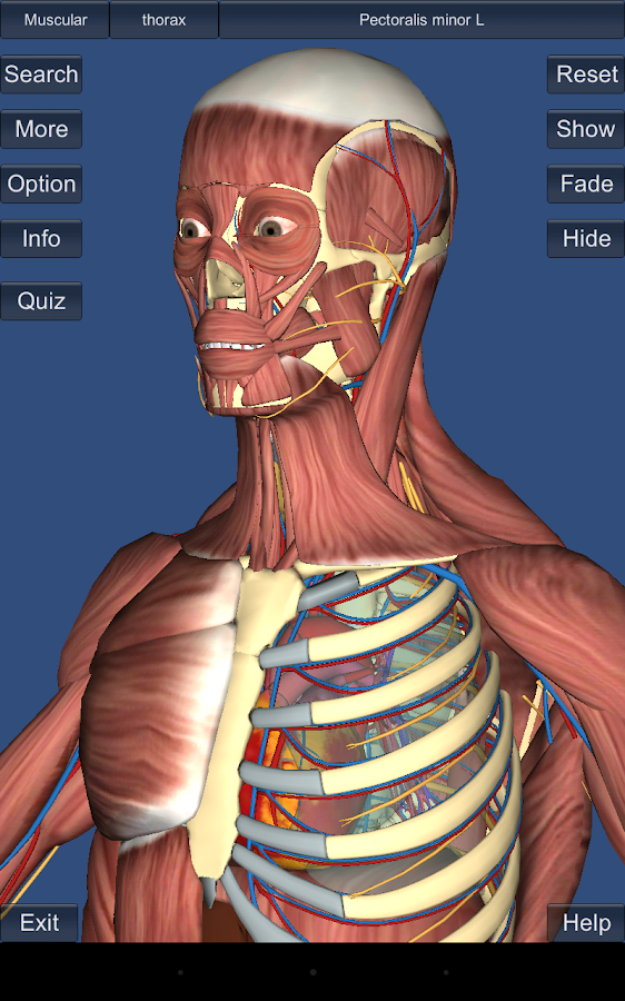 3d human anatomy software free download mac