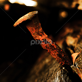 by Isidro Pentzke - Abstract Macro