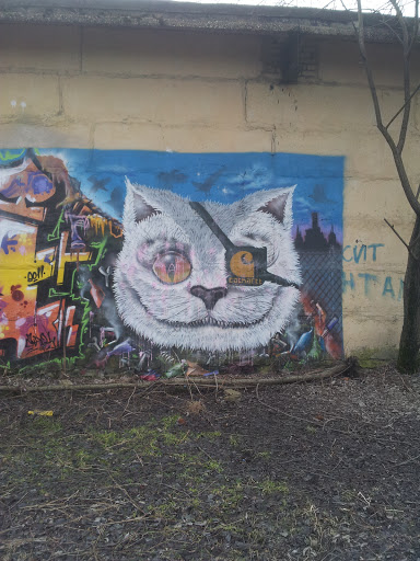 Граффити Кот-пират