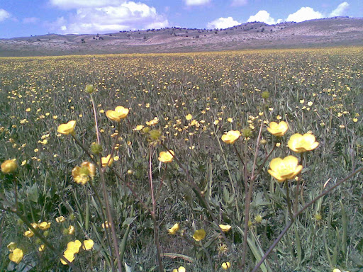 نشانه های  زیبای خدا - مهران