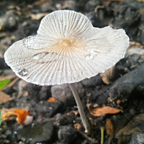 by Yudya Daton - Instagram & Mobile Instagram