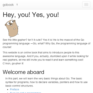 go golang book 0.0.1