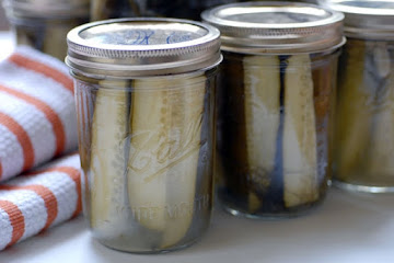 Dill Pickles