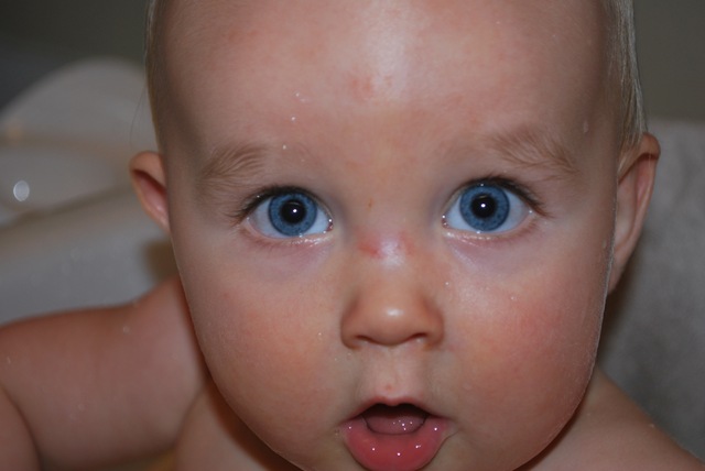 [2008-10-07 First Pasta & Booboo 007[3].jpg]