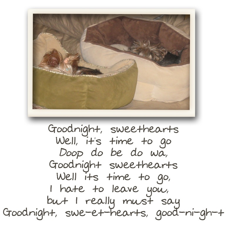 [goodnite[19].jpg]