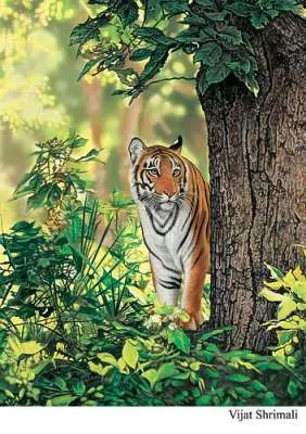 Indian Tiger painting