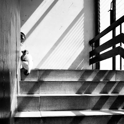 cat and boy stairs
