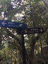 Wilson Trail Lei Yue Mun - Entry