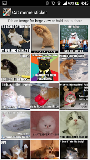 Cat meme sticker