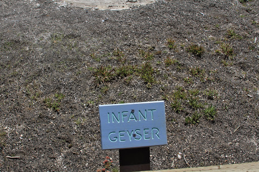 Infant Geyser
