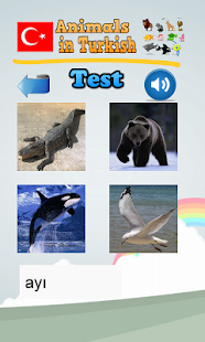 download Pelajari hewan di Turki free