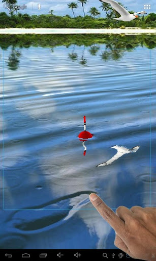 【免費個人化App】Fishing Float LIve Wallpaper-APP點子