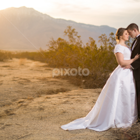 The Perfect Light by Glenn Pearson - Wedding Bride & Groom