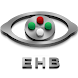 Eye Handbook