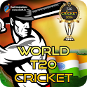 World T20 Cricket 2014 icon