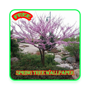 Spring Tree Wallpaper 1.0