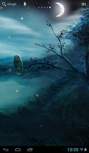 Lastest Fireflies in the Forest APK for PC