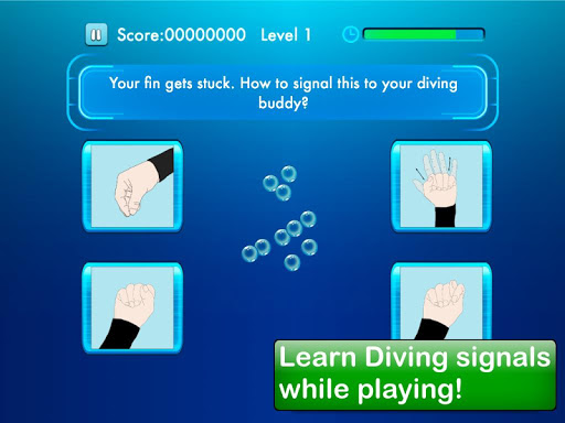 Diving quiz