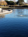 Jumping Waters Fountain