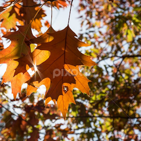 by Ben Liu - Uncategorized All Uncategorized